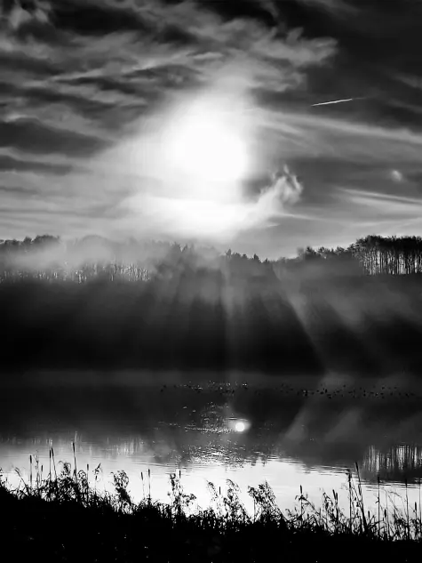 Yorkshire, Yorkshire Sculpture Park, Reflections