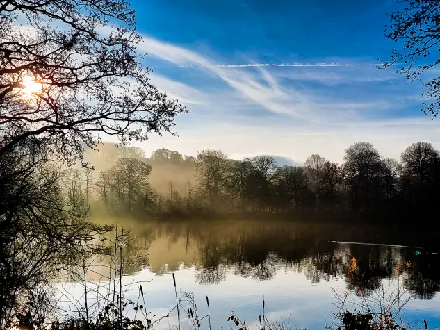 Yorkshire, Yorkshire Sculpture Park, Reflections