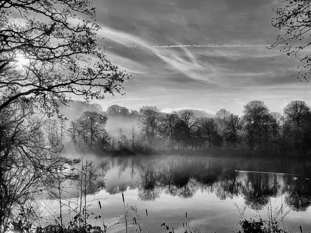 Yorkshire, Yorkshire Sculpture Park, Reflections