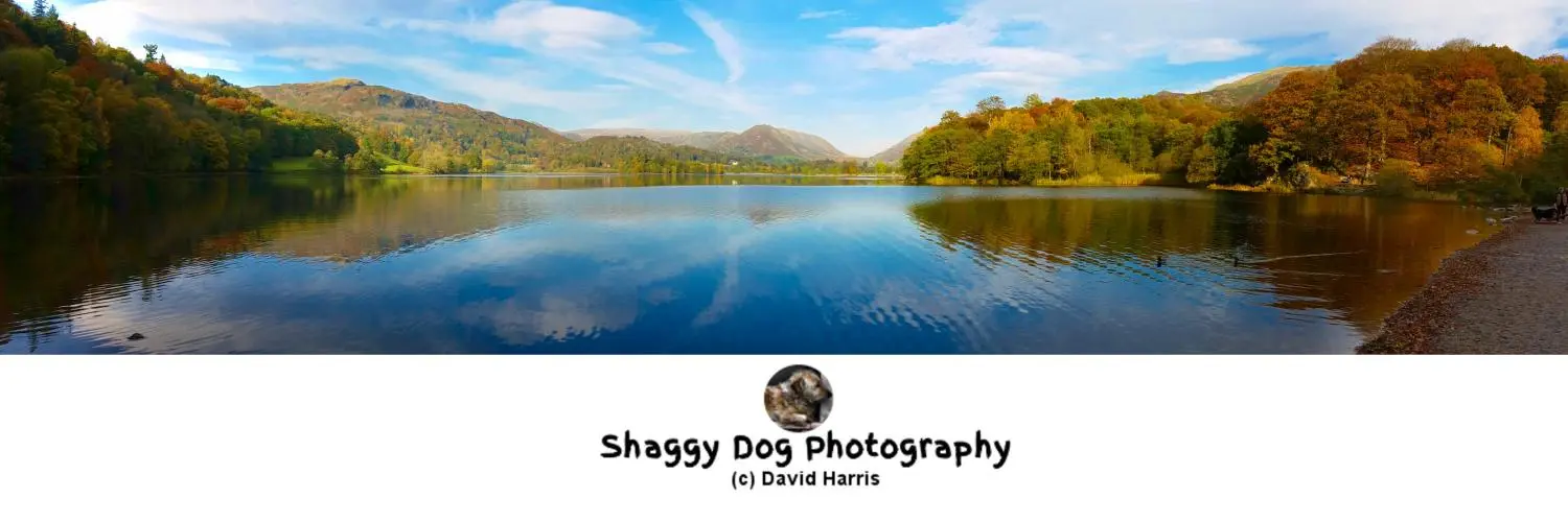 Cumbria, Lake District, Rydalwater, Ambleside