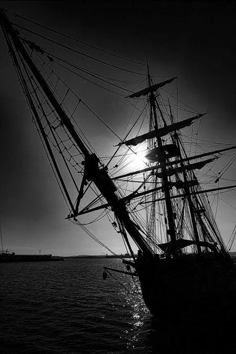 USA, California, Tall ships, San Diego