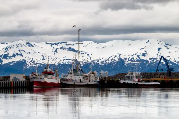 Iceland, Husavik, Husavik harbour