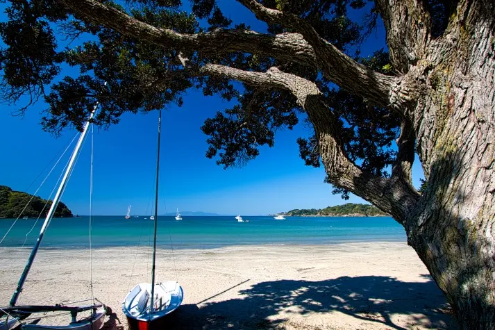 New Zealand, Devenport, Cheltenham beach