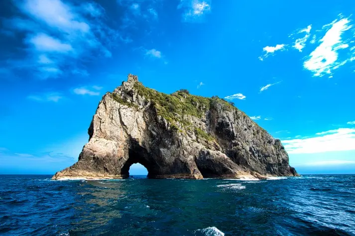 New Zealand, Russell, Motukokako Island