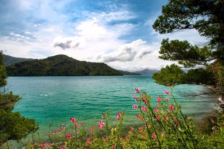 New Zealand, Picton, Queen Charlotte Sound