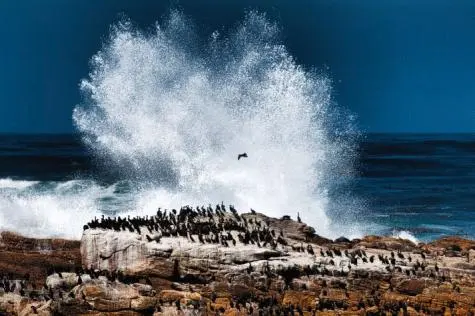 South Africa, Cape Town, Cape of Good Hope