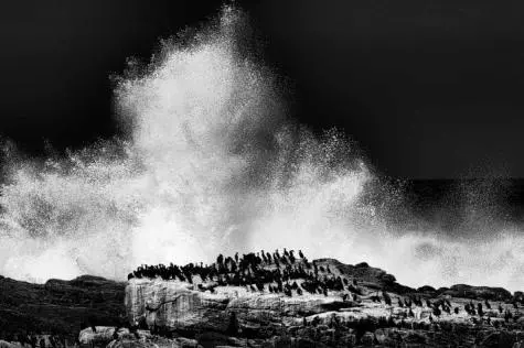 South Africa, Cape Town, Cape of Good Hope